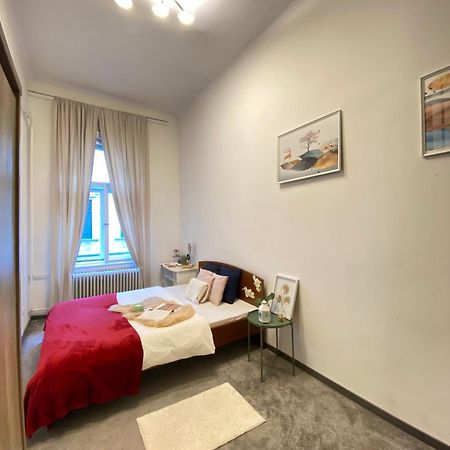 Sziv Apartment - Modern And Comfortable 布达佩斯 外观 照片
