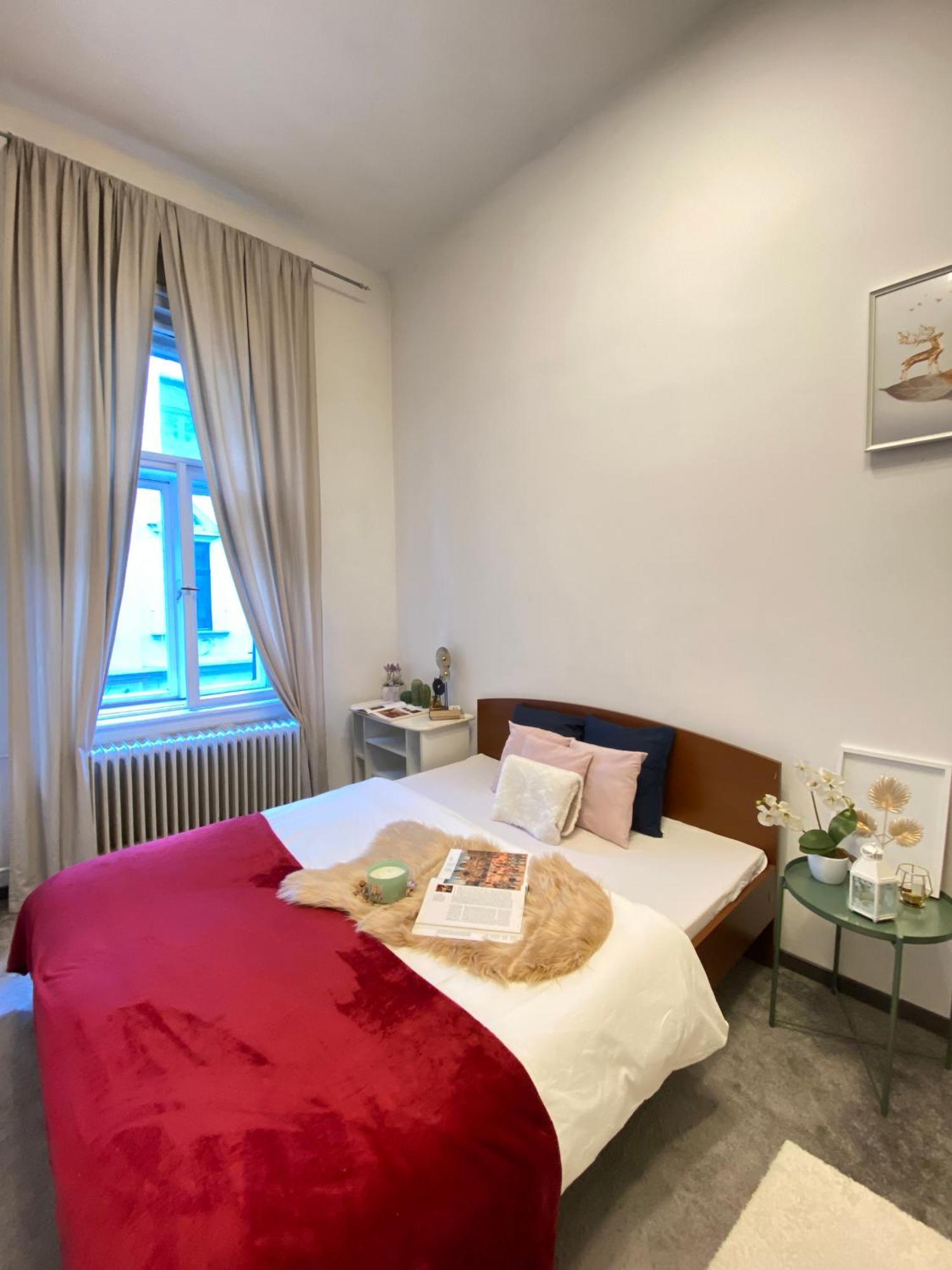 Sziv Apartment - Modern And Comfortable 布达佩斯 外观 照片